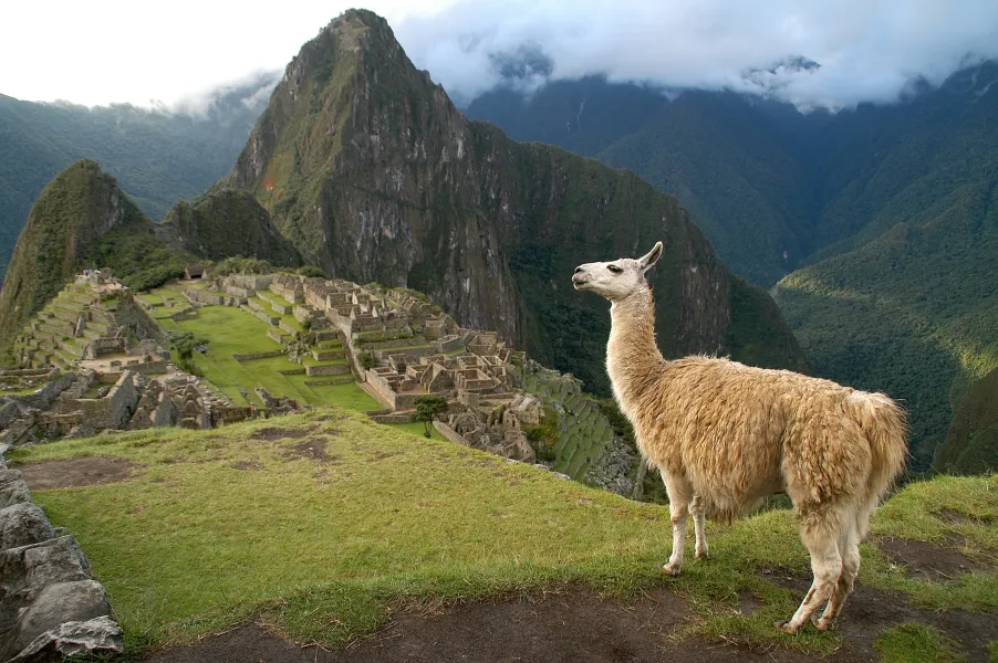 Mysterious Machu Picchu