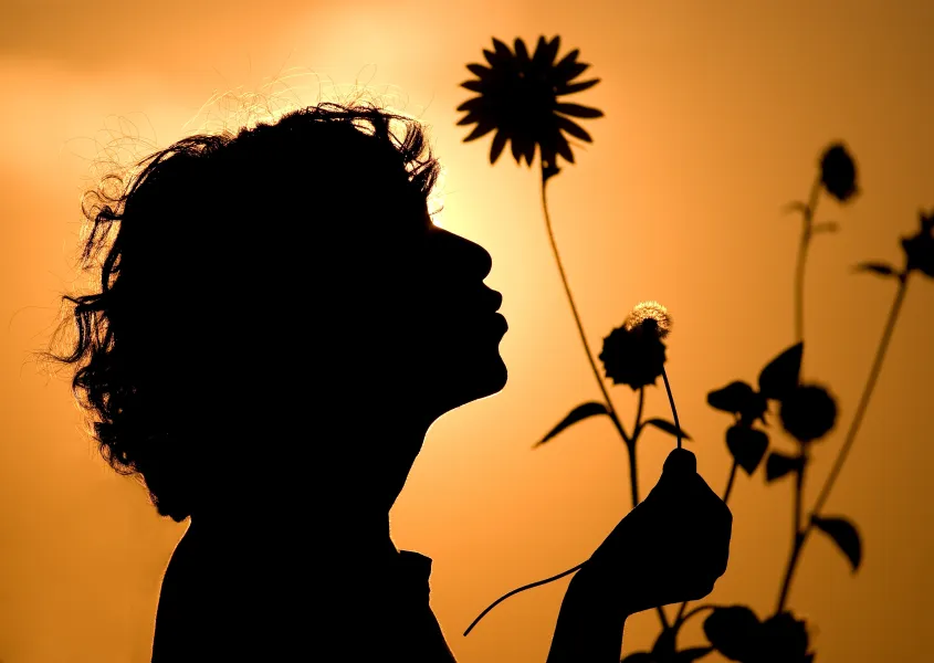 Silhouette at Sunset