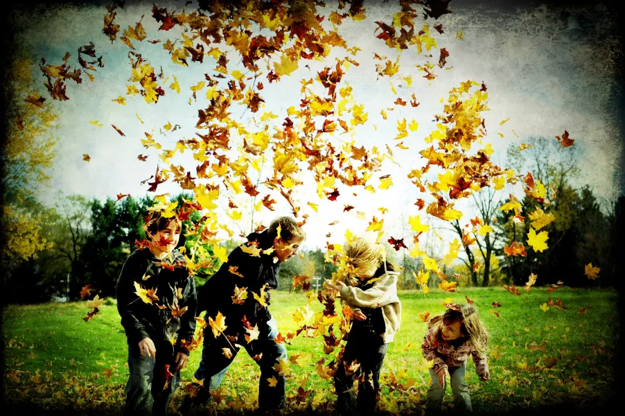 Fall Fun
