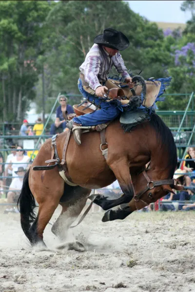 Rodeo Fun!