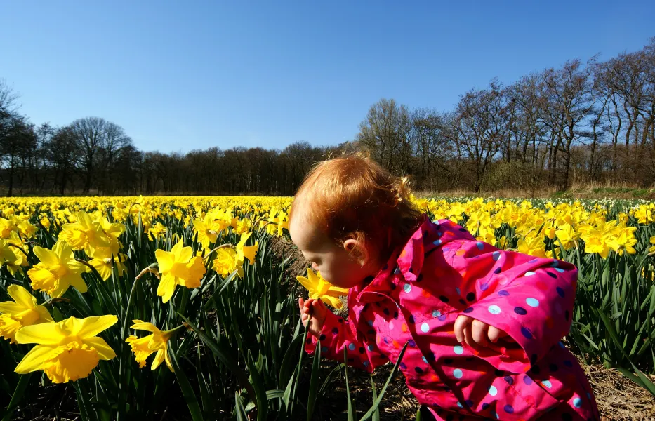 Smelling Spring!