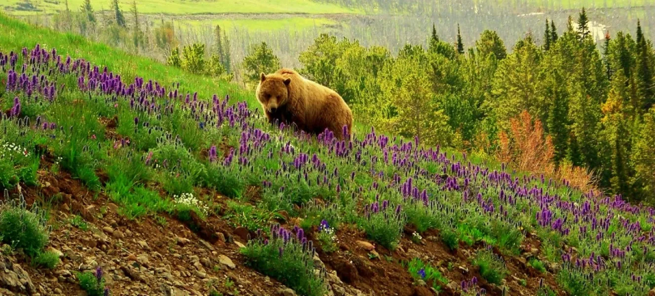 Smelling the flowers