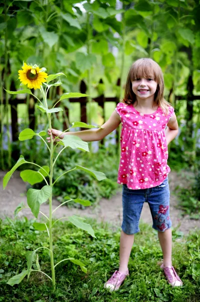 Sunflower Kid