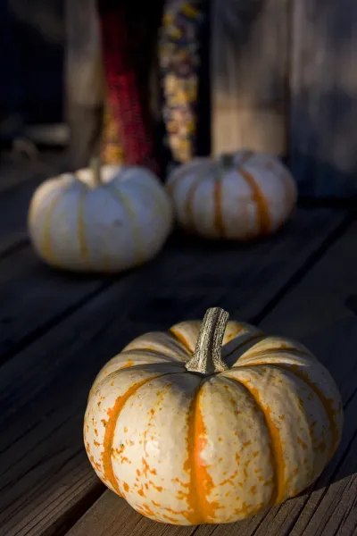 Pumpkins