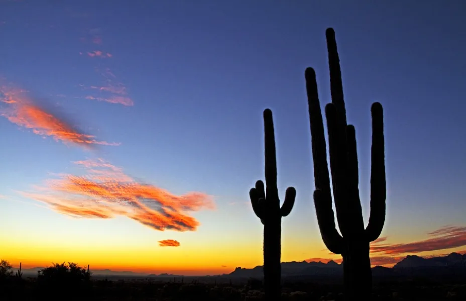 The Beauty of a Sunset