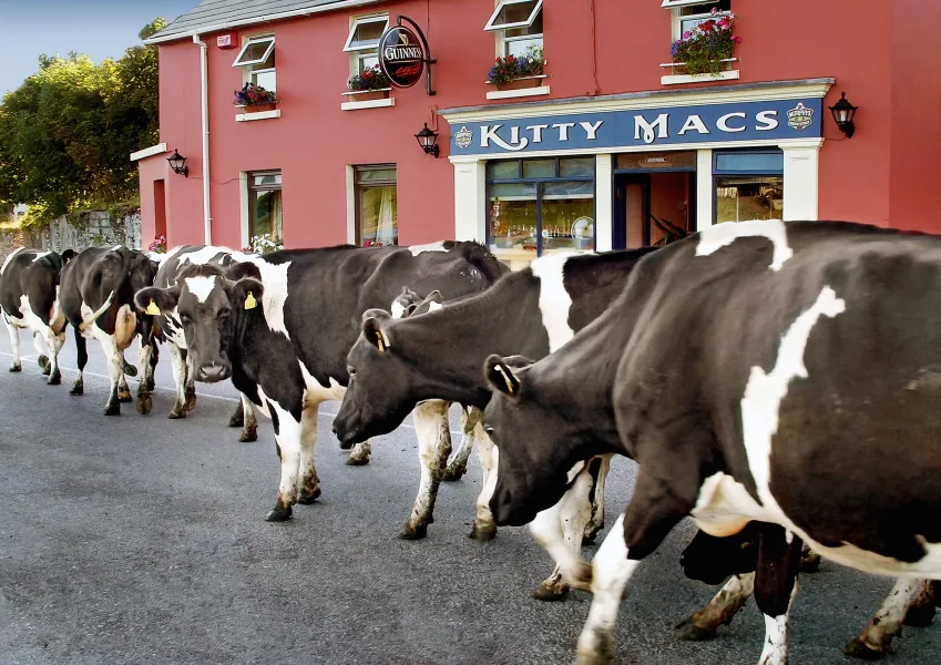 Are you coming for a pint?