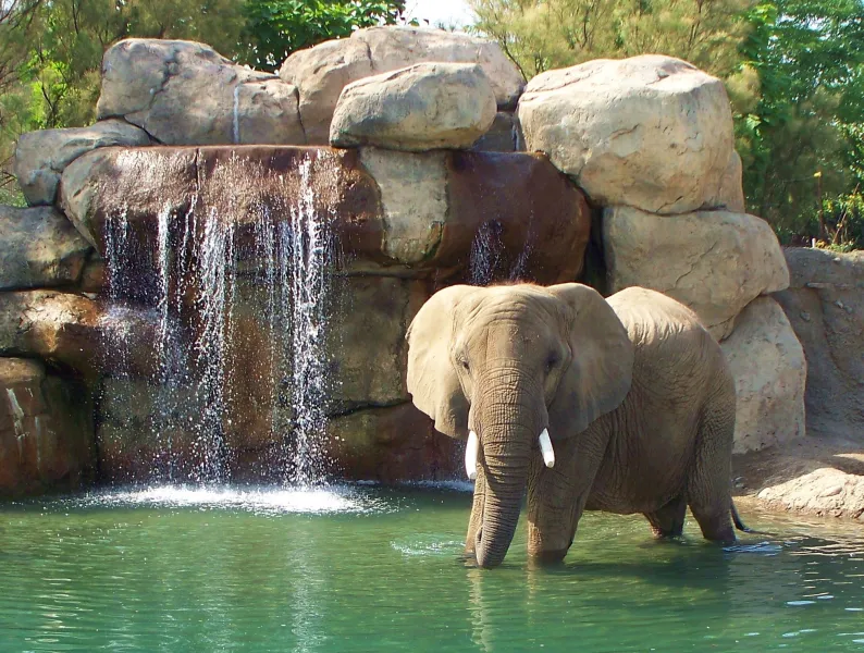 Is this my good side?