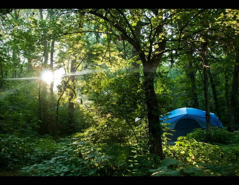 Perfect Camping Site