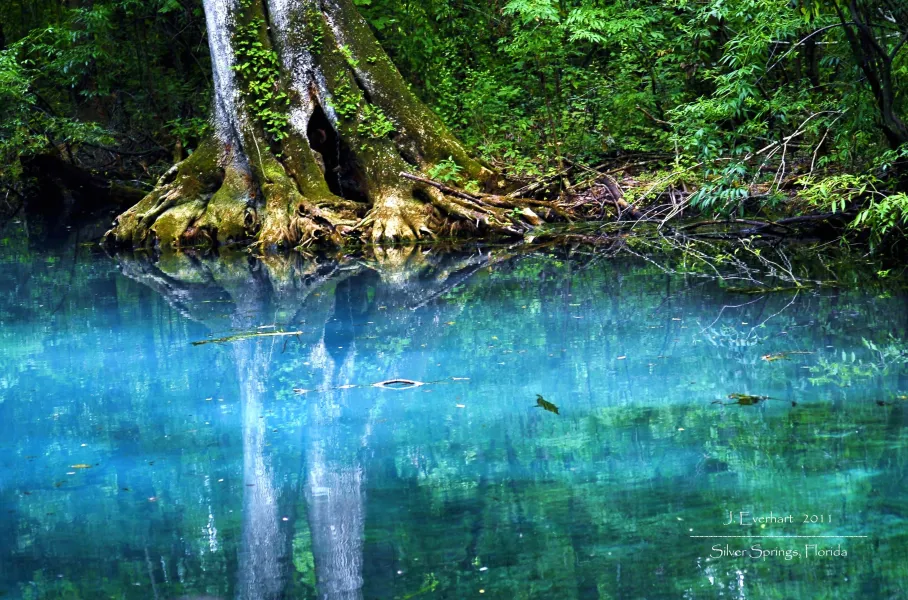 Silver Springs Turquoise