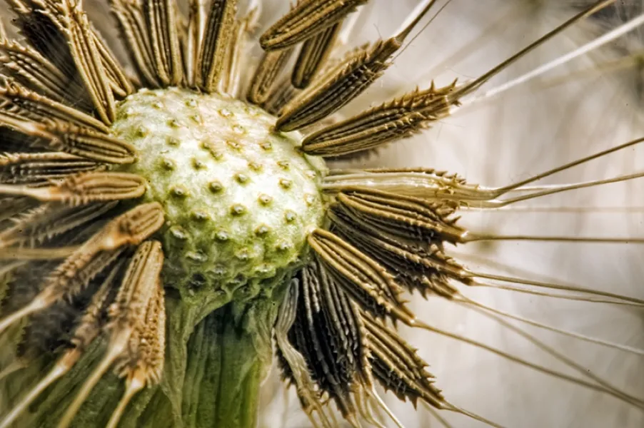 At the mercy of the winds