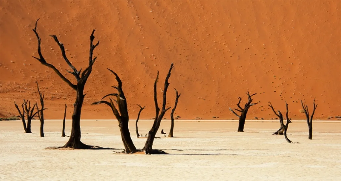Death Vlei in Namibia