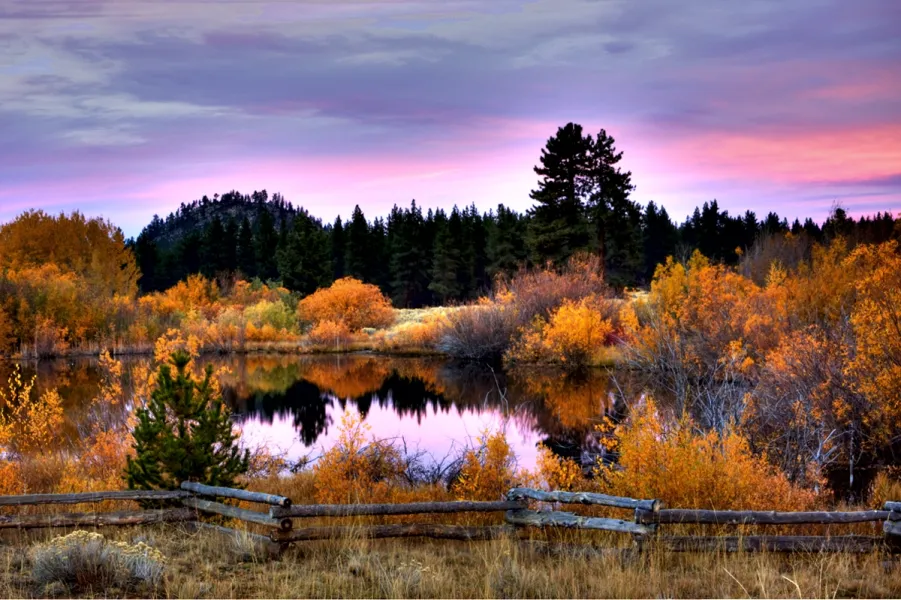 Fall in the High Sierra