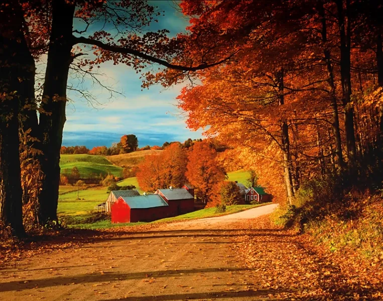 Jenne Farm Autumn Foliage