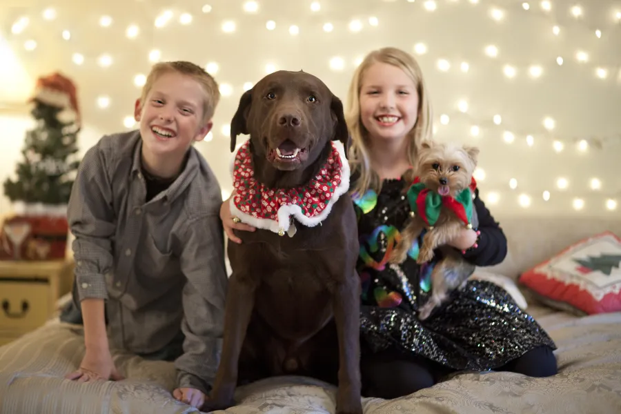 Crackin' Up Holiday Style