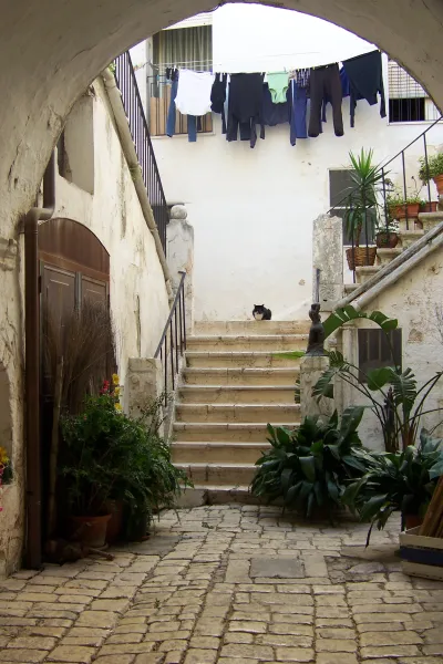 Master of the courtyard