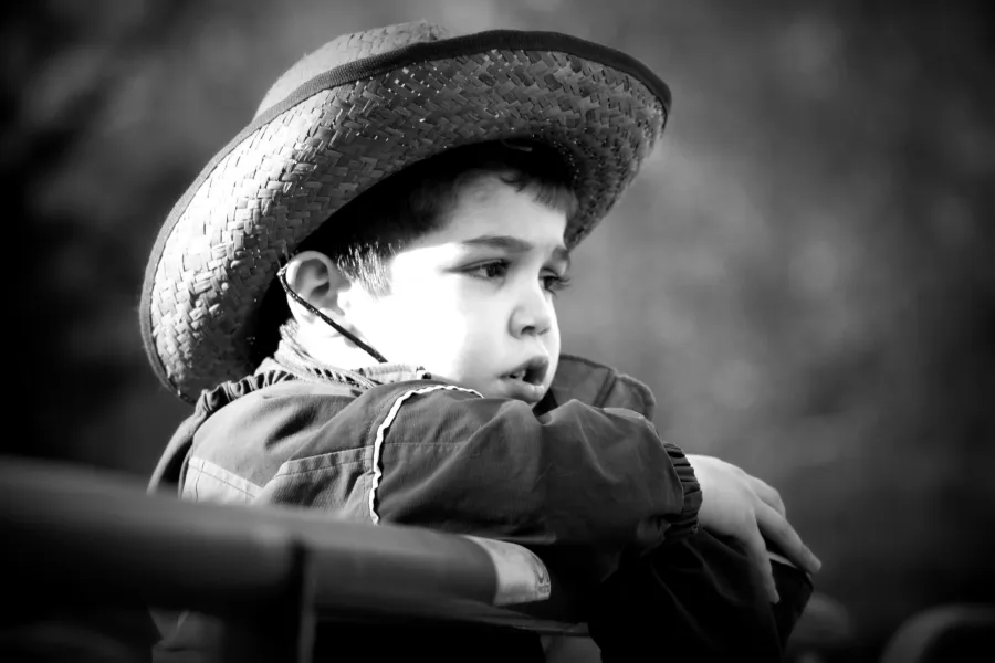 A Long Day on the Farm