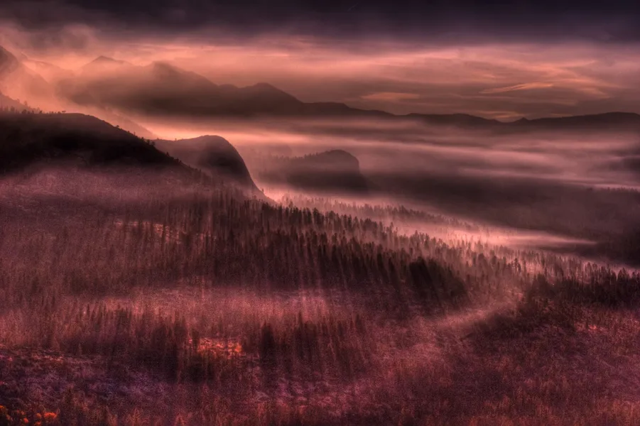 early morning shadows