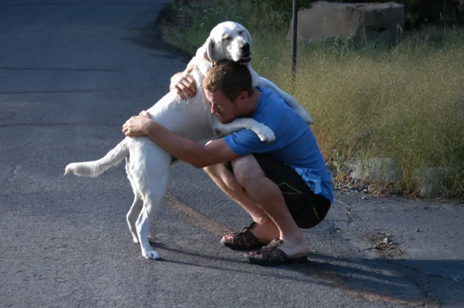 Best Friends Forever