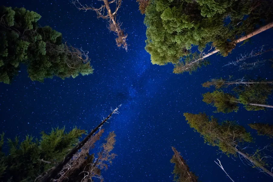 Don't Forget To Look Up