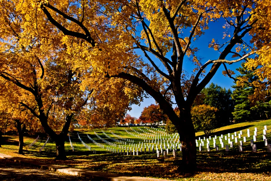 Arlington Cemetery, Veter