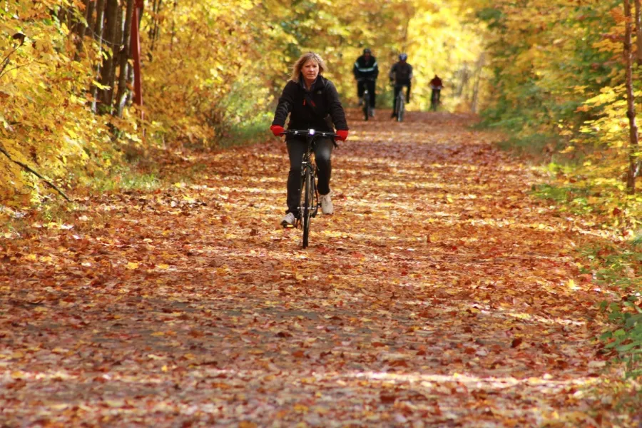 fall-in love with nature