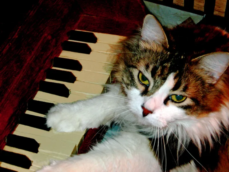 "Play it again, Sam:"