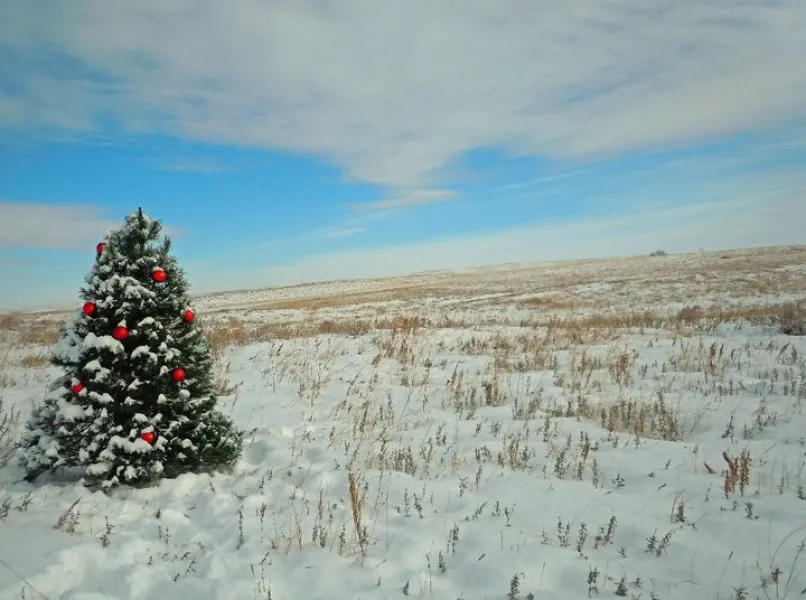 Christmas on the prairie