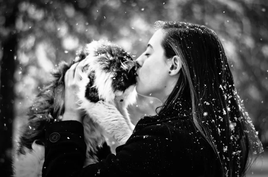 Snow Kiss