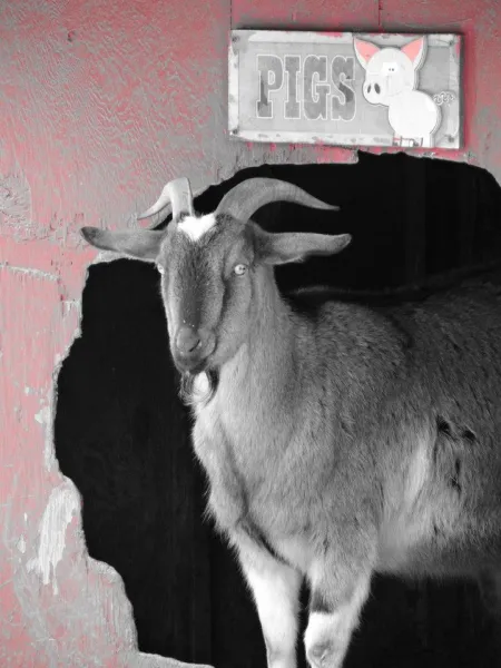 Clearly he can't read!!!