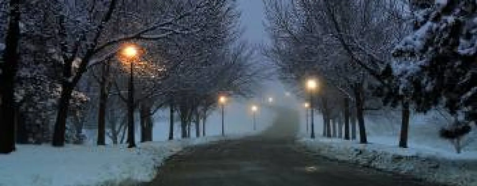 Frosty Snowy Morning