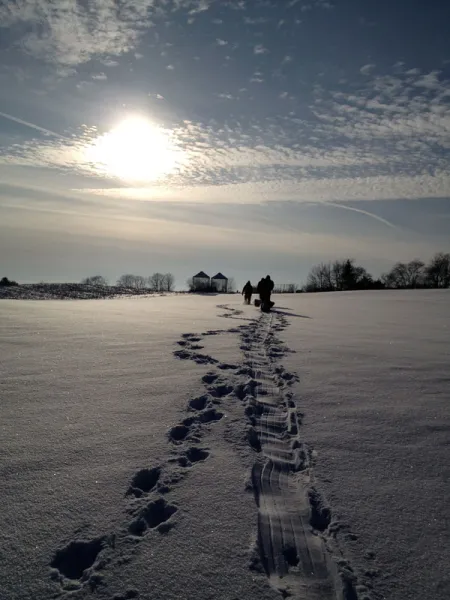 Walking back to farm