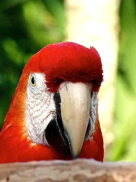 Stop! I'm in the bathroom