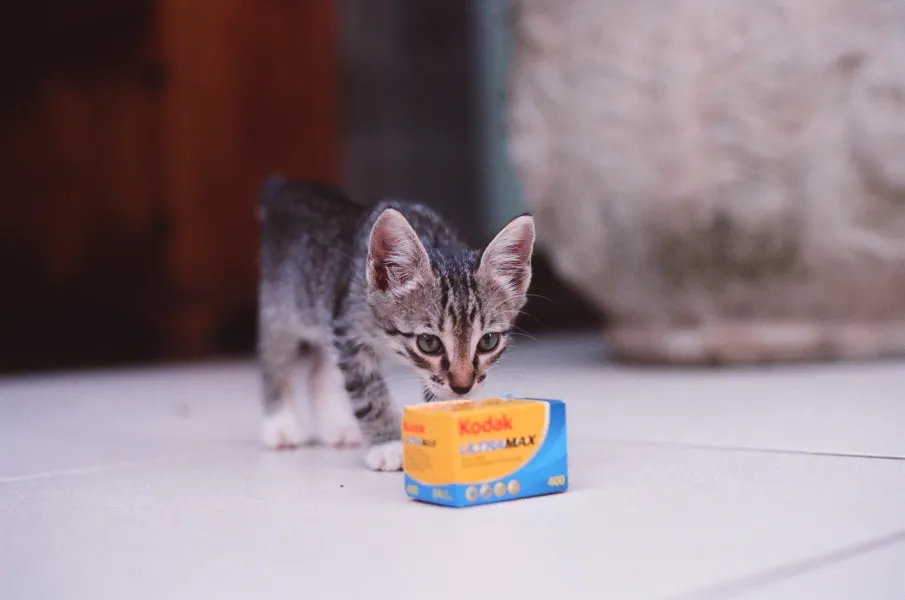 Experimentando o filme