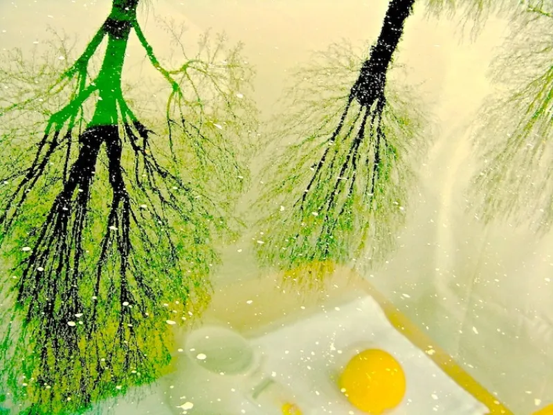 Reflection of Breakfast