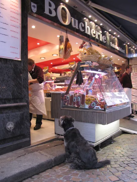 Throw me Something Mister