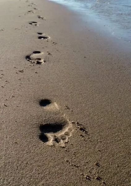 Footsteps