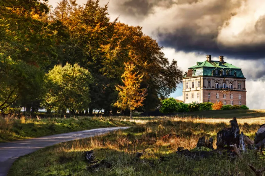 The Castle in the Forest