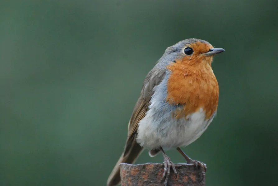 Nature on your doorstep