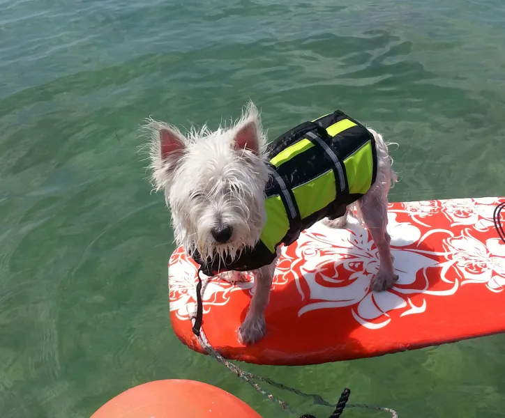 Finnegan (surfing Fl Bay)