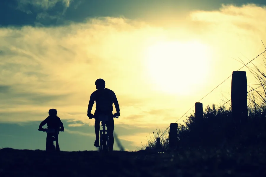 Like father like son