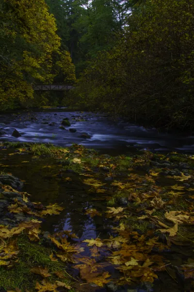 Silver Creek Reflections