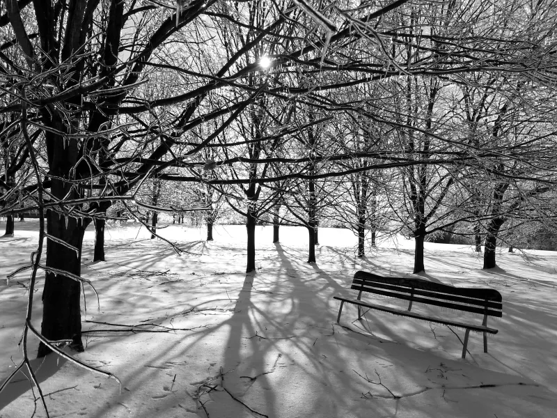 Bench in Winter