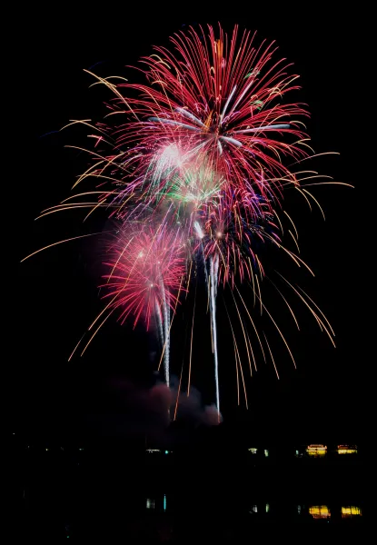 Oystercatcher in the surf