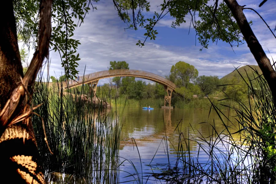 Afternoon at the Lake
