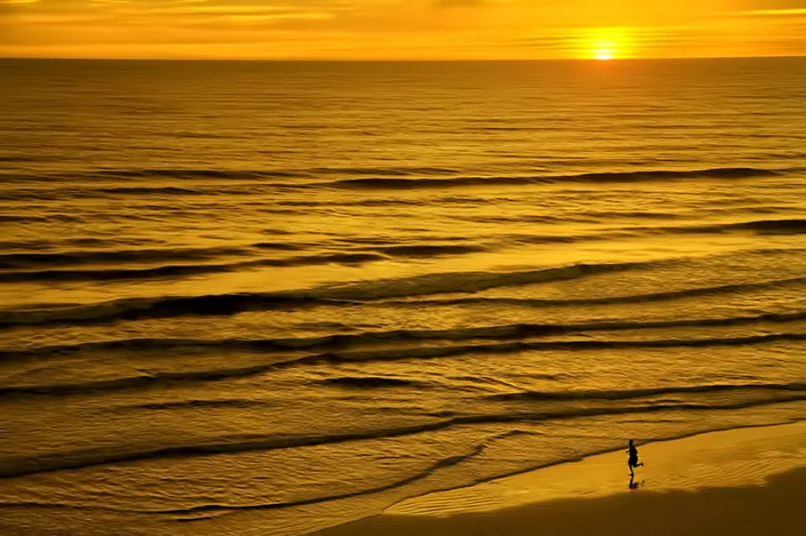 Following the Sea Rhythm