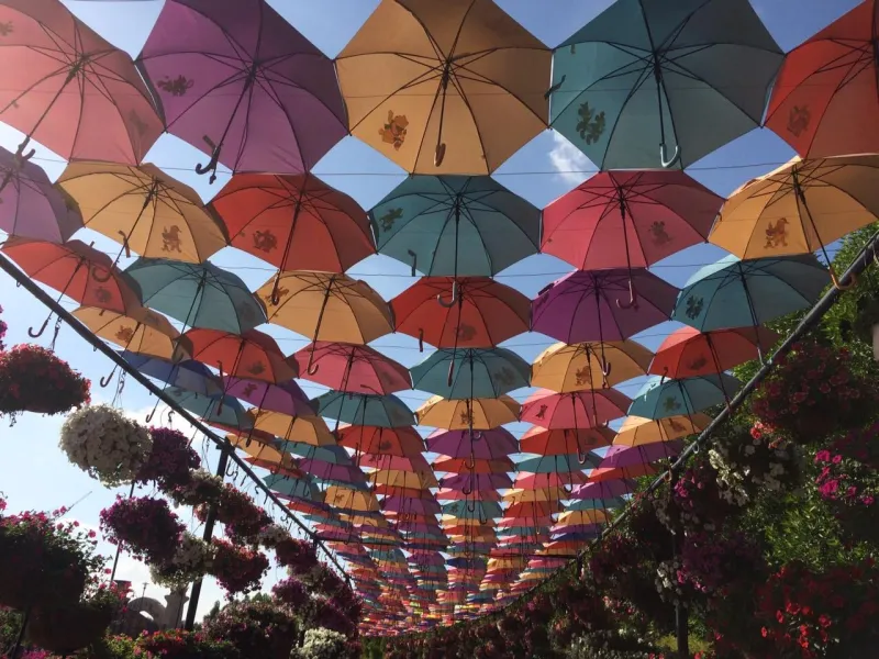 'Umbrella' a new view