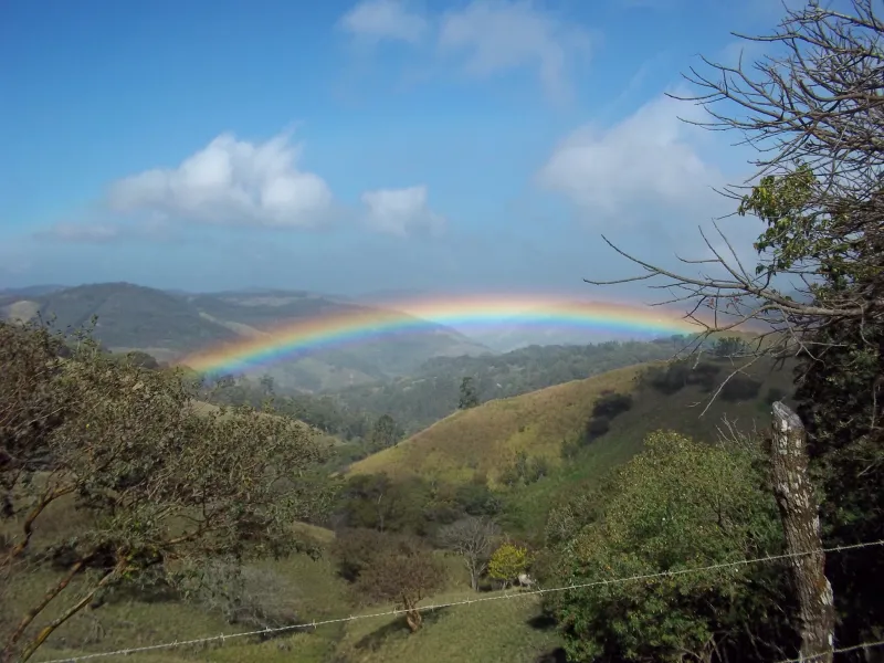 Beauty at the End of the