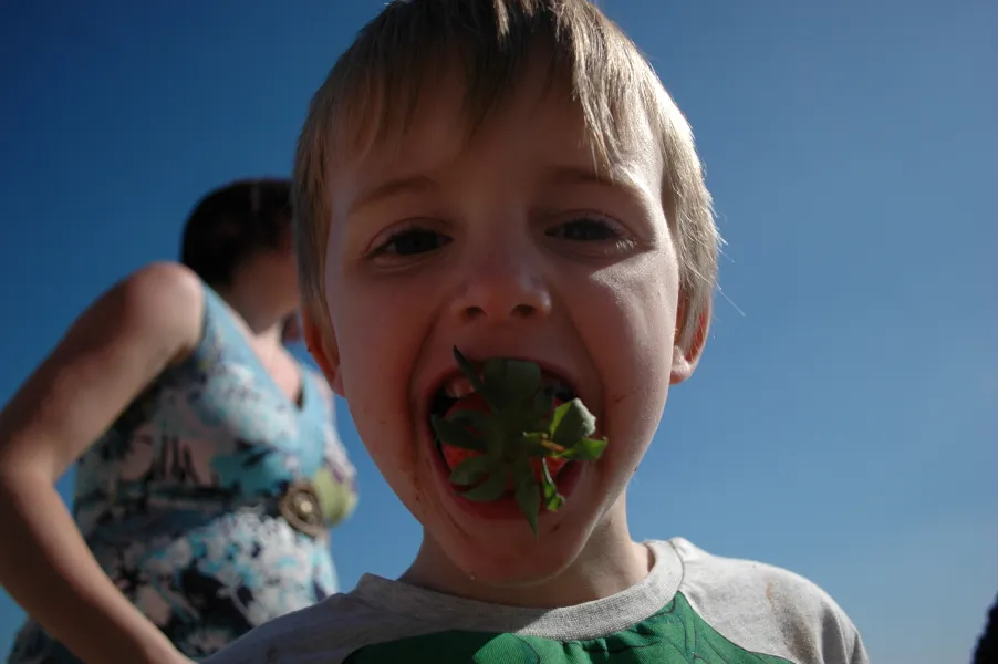 Lunchtime at the Beach