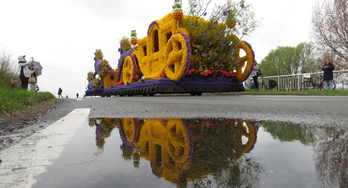 flower parade