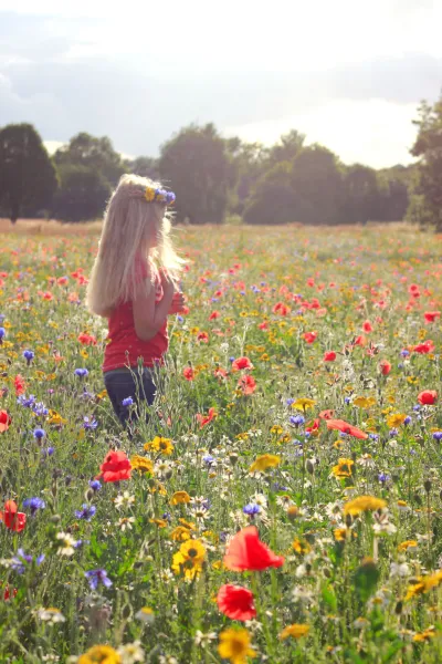 Amongst the Wildflowers